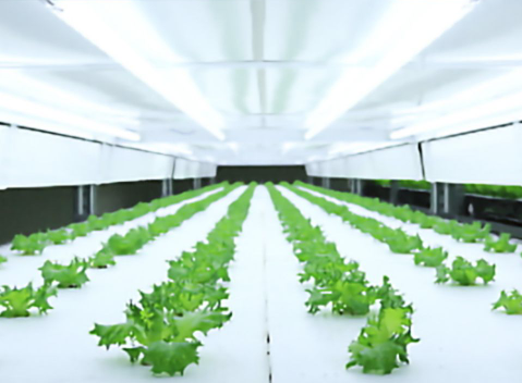 明治鋼業製品の採用分野例：植物工場用ラック