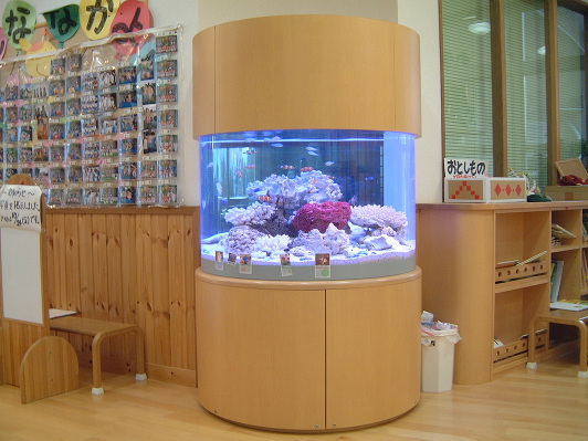 【導入事例】　観賞用水槽　幼稚園：福井