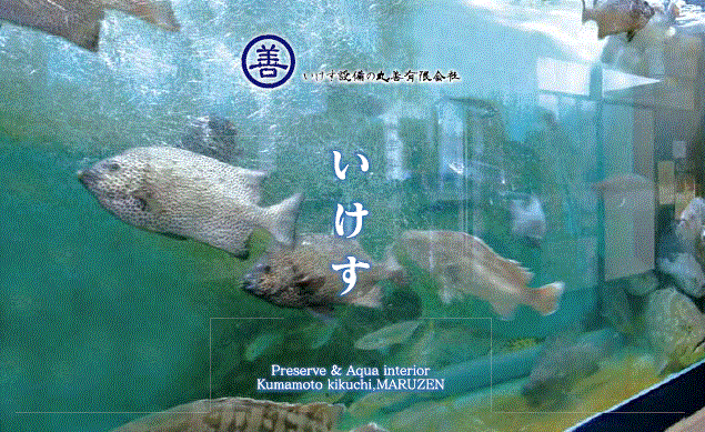 【日本で稀に見るダイナミックな】大型いけす