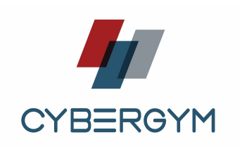 セキュリティリスク分析『V-sec』