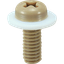 PEEK set screw