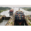 FCL / LCL sea transportation services