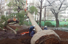 法人向け　造園工事サービス