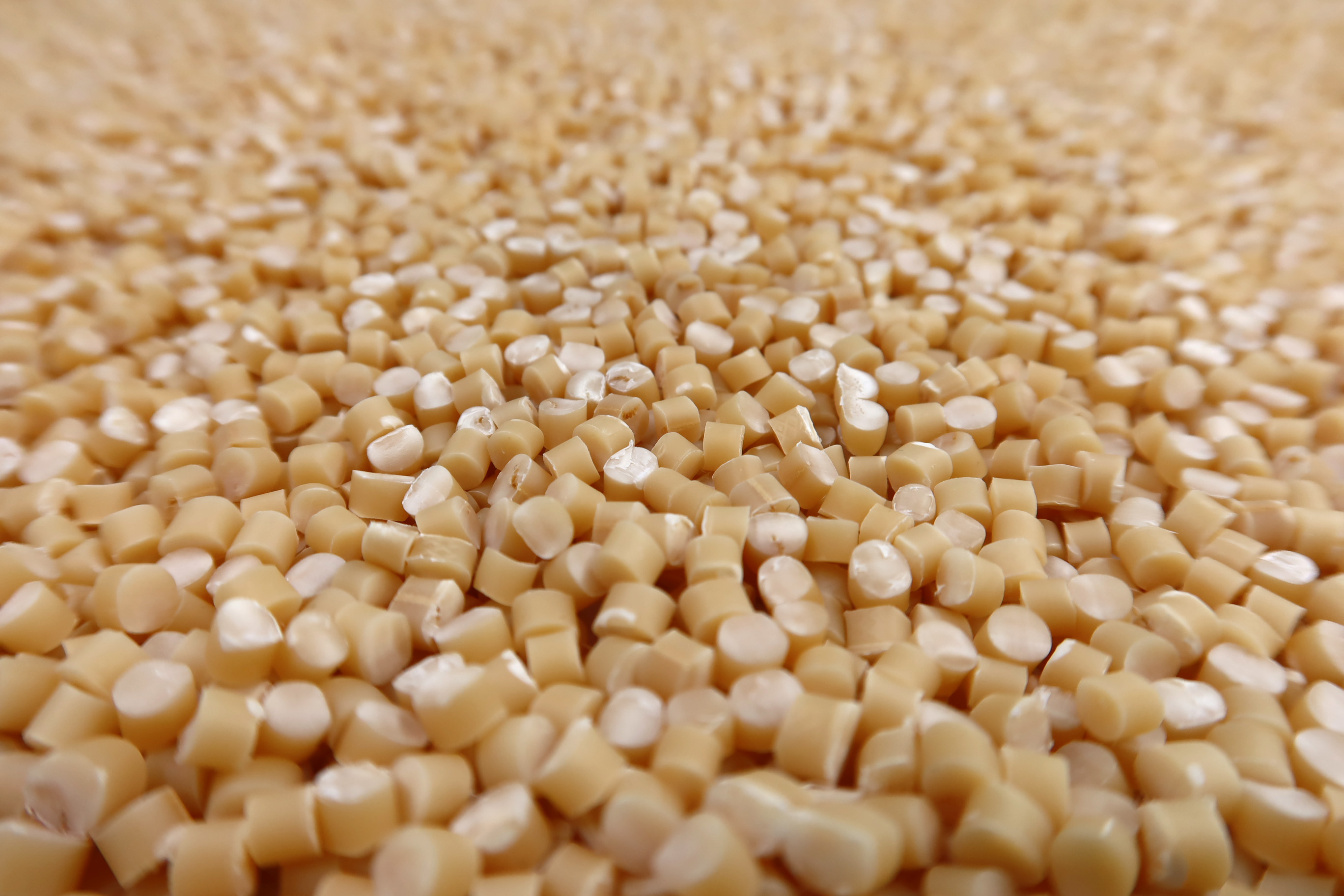 石油系樹脂の代替にお米から作ったプラスチック【ライスレジン】