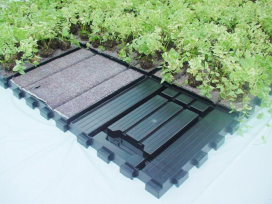 特殊緑化技術『EGプランタ』