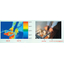 Heat shielding and shatter prevention: 'Eco Maru Film M-IR' - Low price, high quality