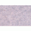Wall material: colored washi paper