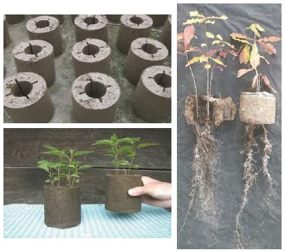 法面緑化工法『保育ブロック緑化工法』