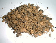 軽量人工土壌『ボストンファームII』