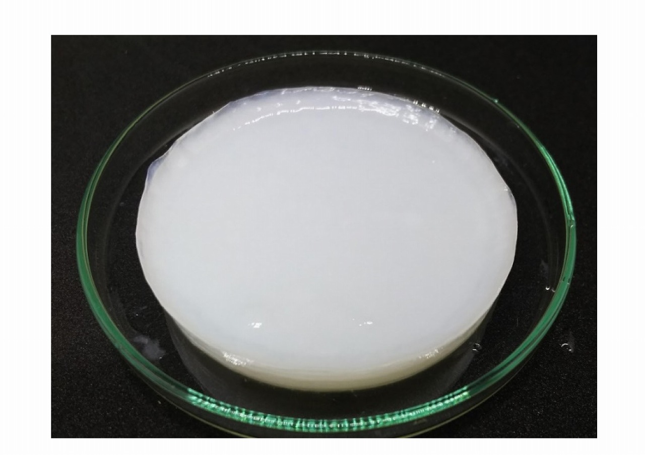 バクテリアセルロースハイドロゲル