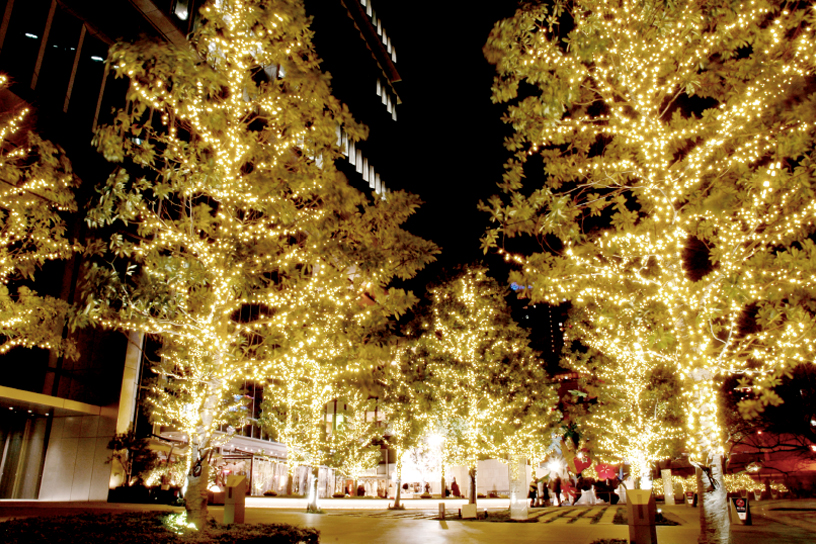 【事例】ウィンターイルミネーション「輝きの集い」