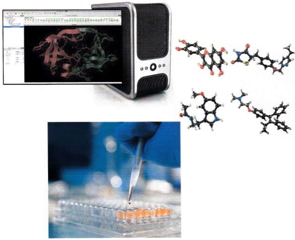 IT技術『ライフサイエンス分野における実験研究サポート』