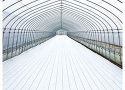 防草シート『グランドシートαホワイト』