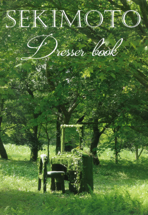 製品カタログ　ドレッサー