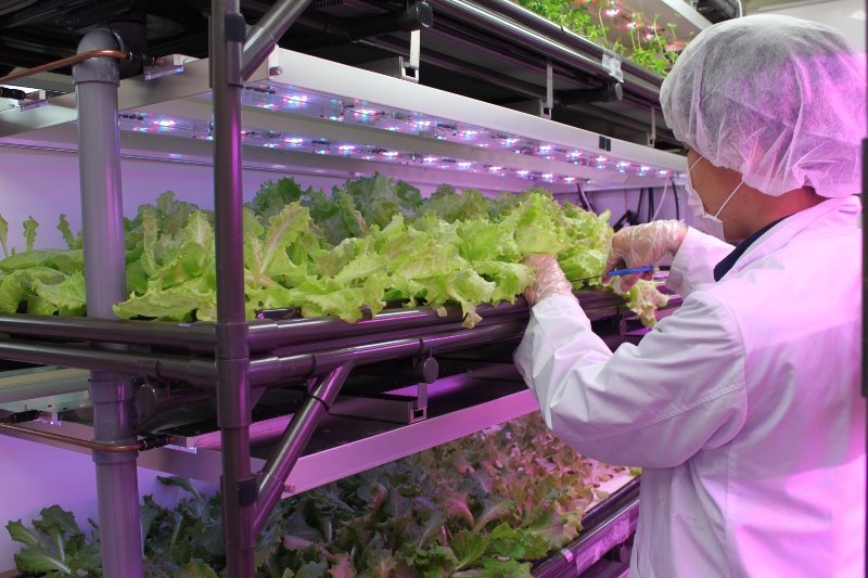 超小型完全制御Cell型植物工場　『LED菜園』