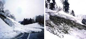 雪崩調査分析サービス