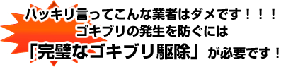 まだゴキブリがウロチョロして困ってる方【害虫駆除必見】