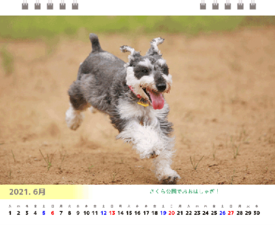 カレンダー制作サービス『自己満カレンダー』