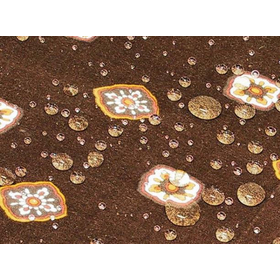 Water and oil repellent fluorosurf ...