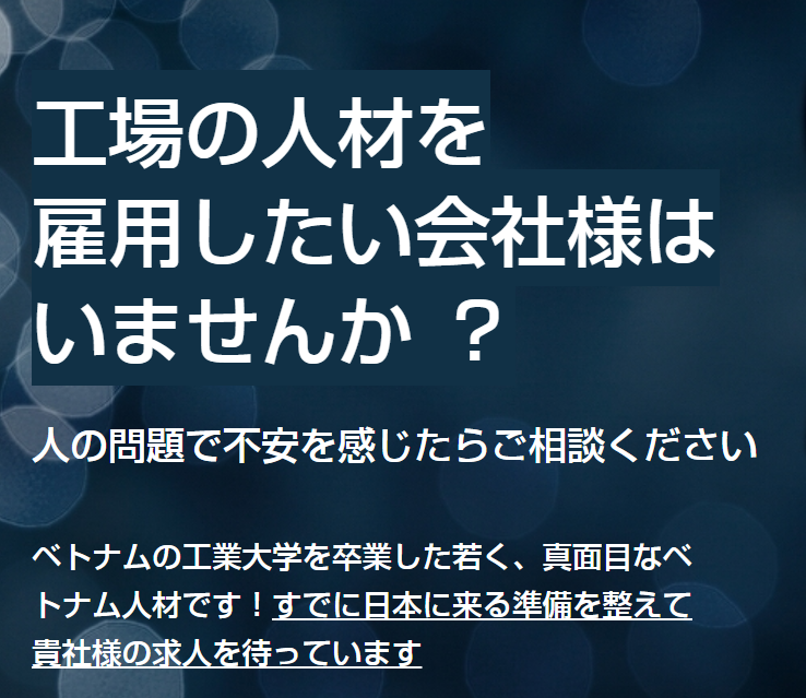 『ベトナム人材紹介サービス』
