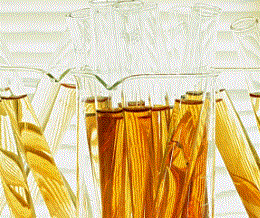 アスベスト（石綿）測定分析サービスのご紹介