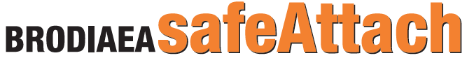 メールアプライアンス『BRODIAEA safeAttach』