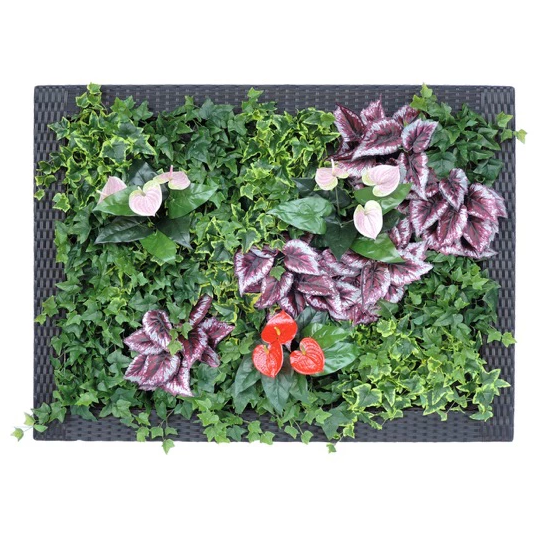 【おすすめの組み合わせ例】『ぴたっとグリーン』