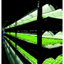 完全人工光型・水耕栽培植物工場『Vege-Factory』