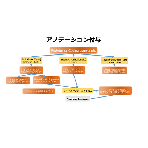 アノテーション付与サービスカタログ20240314.png