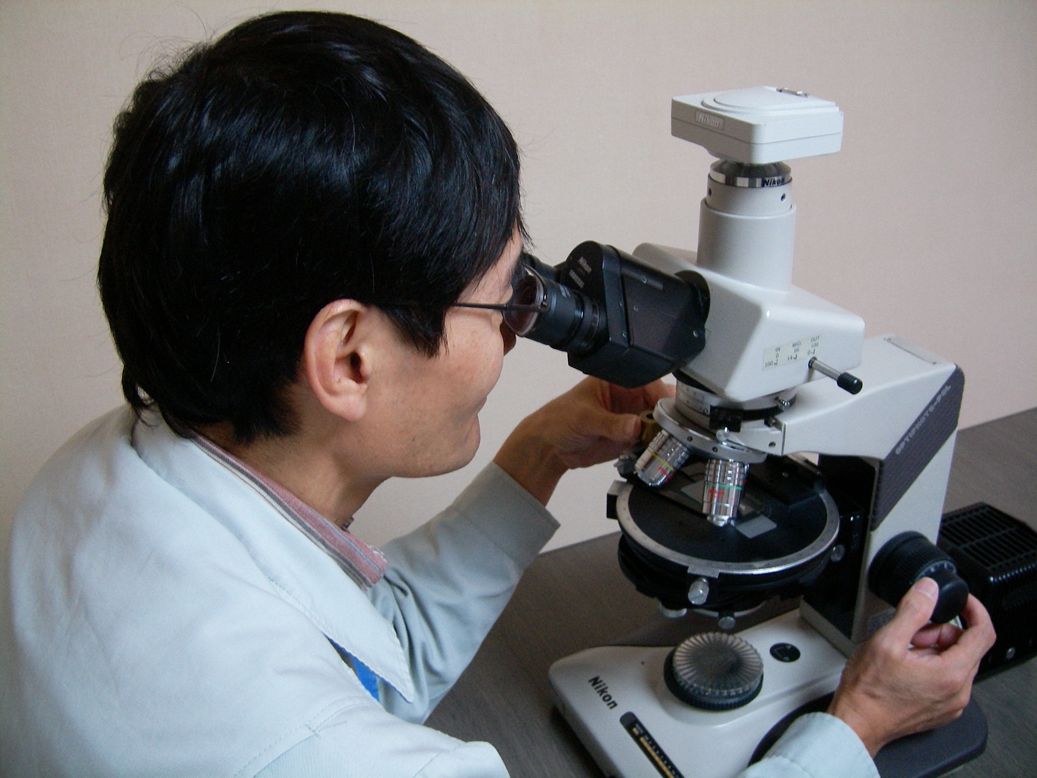 分散染色法による定性分析