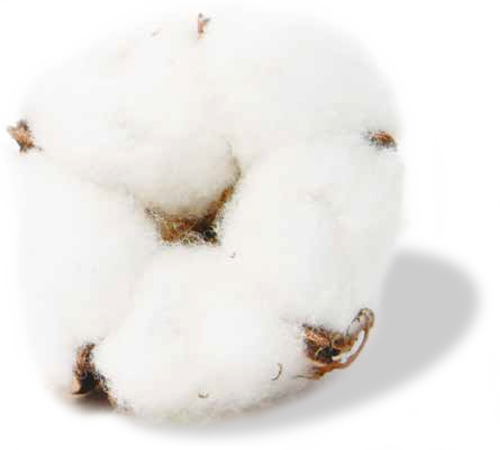 タオル製造サービス