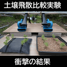 kirinsou-top04.gif
