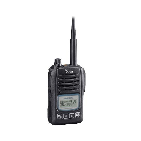 02.IC-D60.JPG