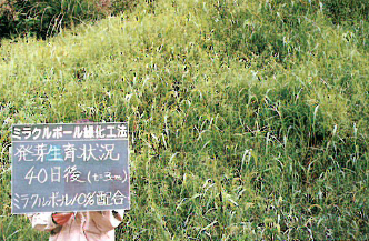 斜面緑化工法『ミラクルボール緑化工法』