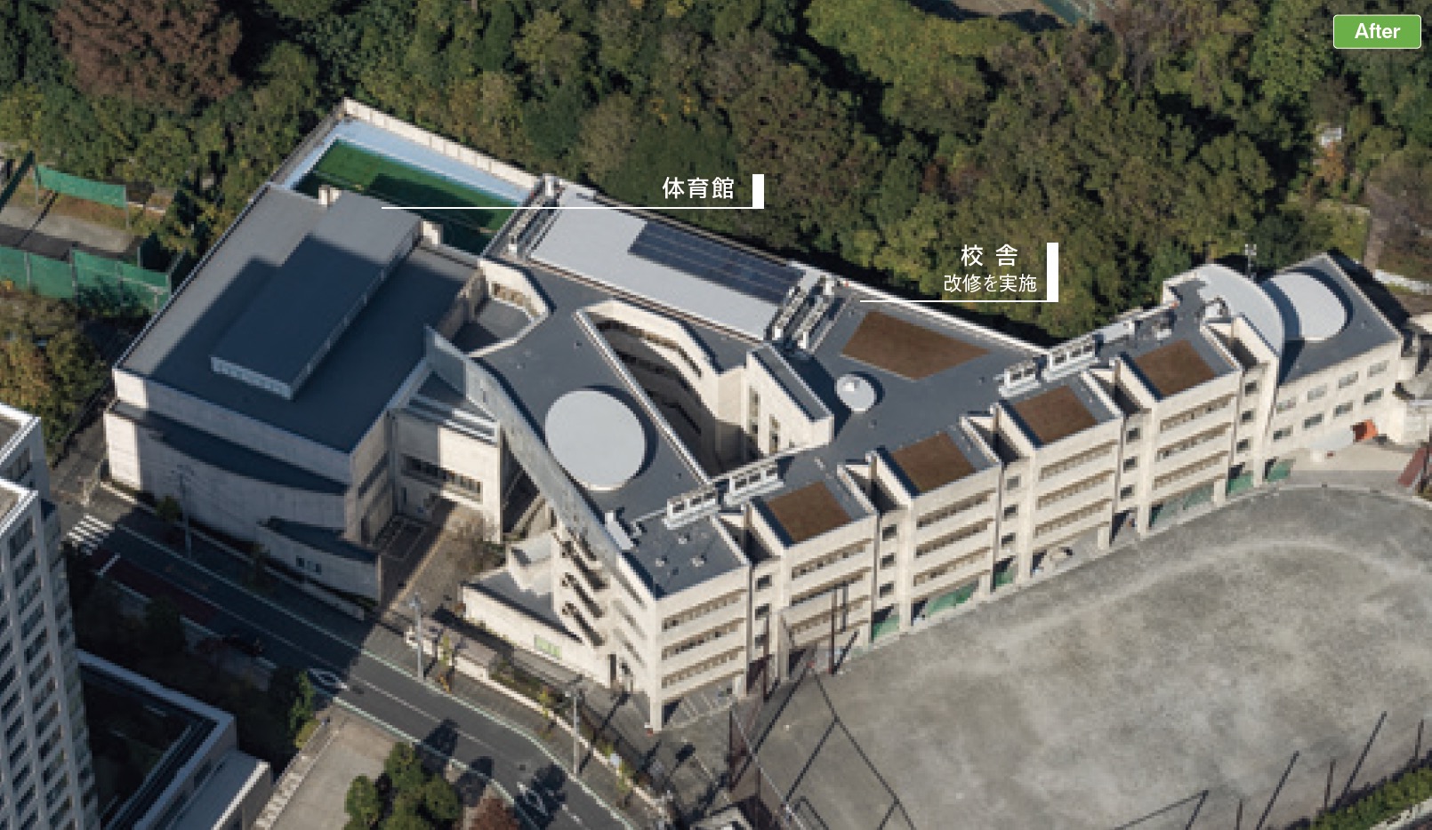 【事例】学校の屋上を塩ビシート防水材で改修した事例