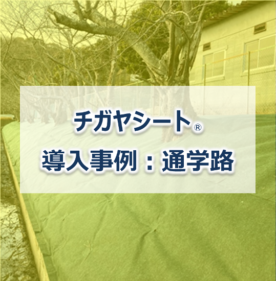 【防草シート施工事例】チガヤシート(R)　通学路