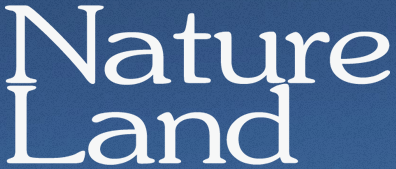 デジタルコンテンツ制作サービス