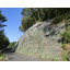[Construction Case] Measures and Preventive Works for Rockfall on Forest Roads