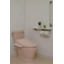 Simple Water Wash Toilet Bowl Ronclean DXP-5070