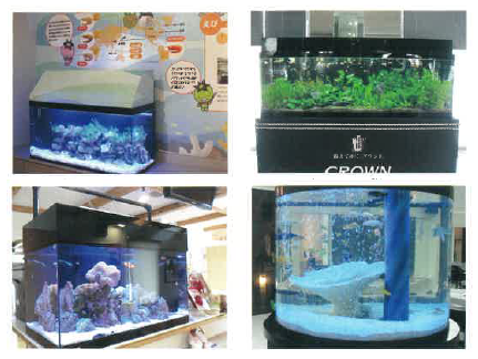 アートアクアリウム