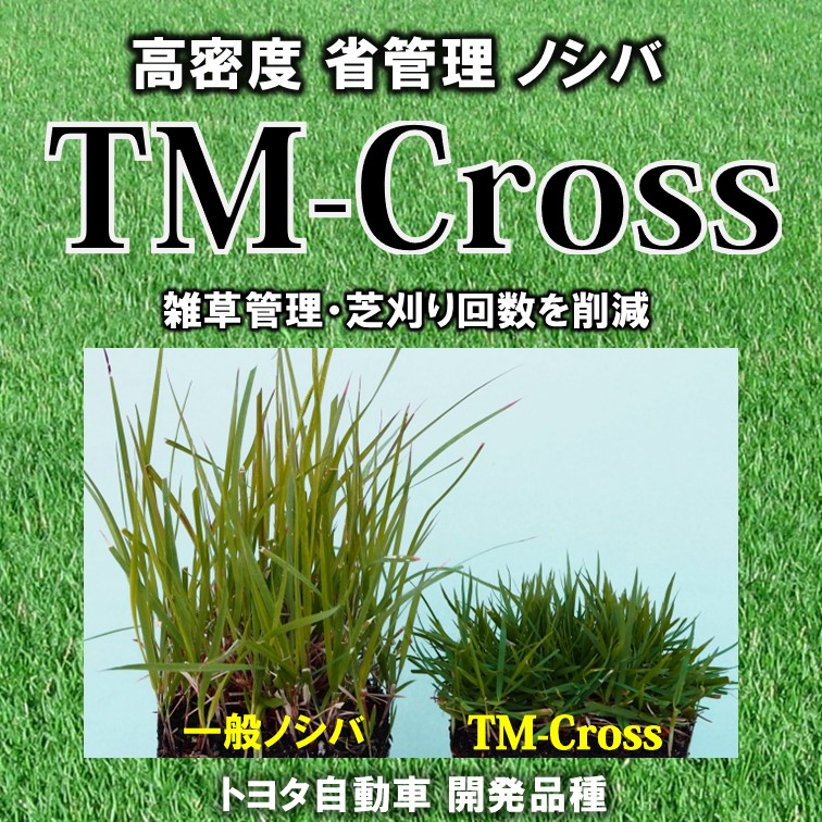 新製品】高密度 省管理ノシバ TM-Cross トヨタ自動車 | イプロス