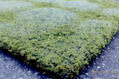 スナゴケ防草緑化シート　Moss.G.mat