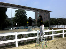 セミDXミラーの活用事例