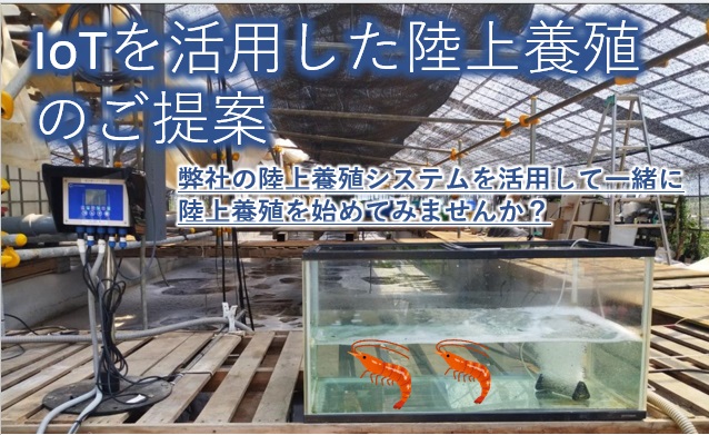 「陸上養殖モニタリングシステム」で安心の養殖管理