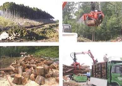 ティー・ビー・ロジスティックス株式会社　事業紹介