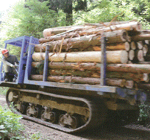 木材産業サービス