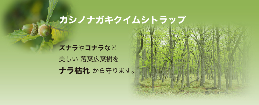 カシナガトラップ KMC 使用説明書