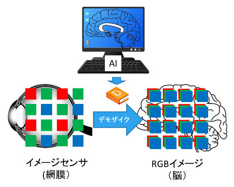 機械学習を使ったデモザイク『AIRD』