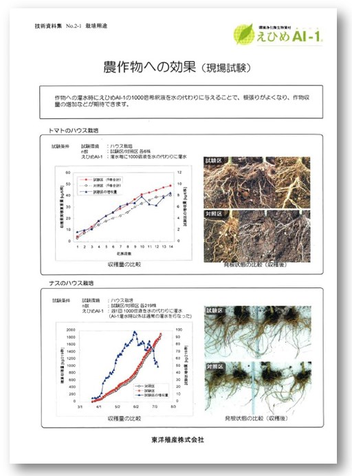 【えひめAI-1　技術資料】農作物への効果（現場試験）