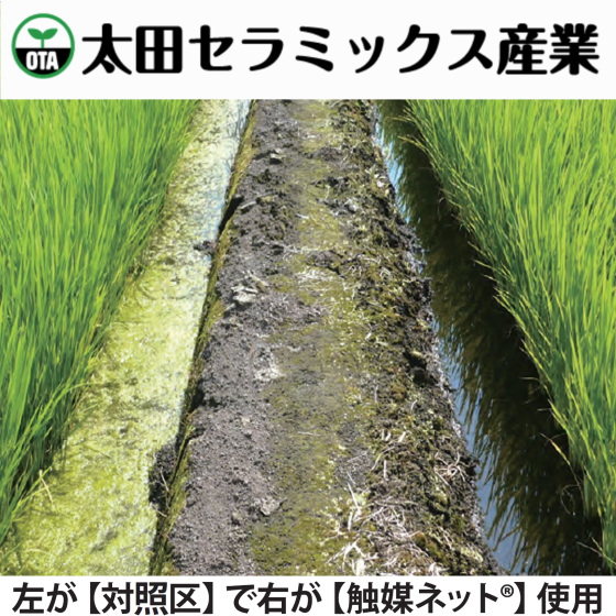 農業に革命を起こします！【触媒ネット】特許関連商品